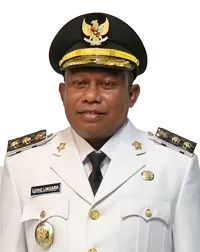 Wakil Bupati